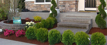 Custom Landscape Design