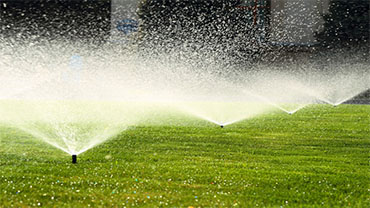 Custom Sprinkler Systems
